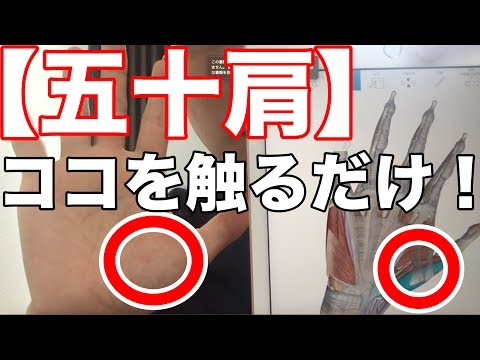 【五十肩の痛みの取り方】母指球筋の筋膜リリース方法！