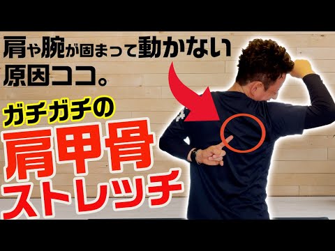 【GENRYU】肩や腕が固まって動かない原因は「肩甲骨」。「肩甲骨」の動きを改善し、肩や腕のつまり＆痛みを改善する「肩甲骨ストレッチ」【大分県大分市 綜合整体 GENRYU 】