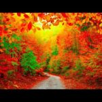 Beautiful Relaxing Music, Peaceful Soothing Instrumental Music, "The Colors of Autumn" by Tim Janis