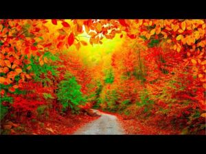 Beautiful Relaxing Music, Peaceful Soothing Instrumental Music, "The Colors of Autumn" by Tim Janis