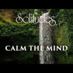 Dan Gibson’s Solitudes – The Cascades | Calm the Mind