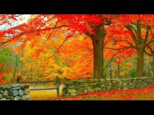 Cozy Autumn Vermont Cabin, Fall Foliage, Peaceful Music, Relaxing soothing Music by Tim Janis
