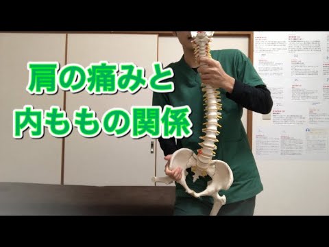 前回の施術動画を解説します。〜肩編〜