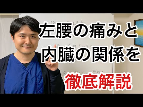 左腰の痛みと内臓の関係を徹底解説【府中 腰痛】