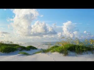 Beautiful Instrumental Hymns, Peaceful Relaxing Music, "Coastal Seaside" by Tim Janis
