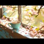 "Spring Windows" Beautiful Relaxing Music, Peaceful Soothing Instrumental Music by Tim Janis