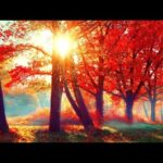 Beautiful Relaxing Music, Peaceful Soothing Instrumental Music, "Autumn Golden Woodlands"  Tim Janis