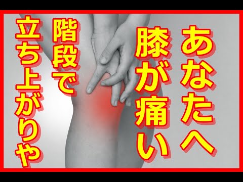 立ち上がりや階段で膝が痛いあなたへ【変形性膝関節症】　橿原市の整体
