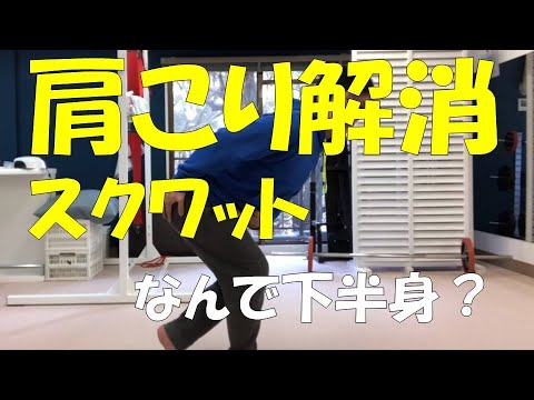 【肩こりの方向けのエクササイズ】シングルスクワット