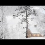 Beautiful Peaceful Christmas Carols: Instrumental Christmas Music, "Peaceful Holiday Home" Tim Janis