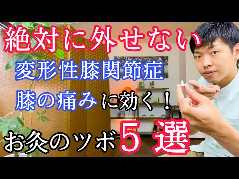 【膝の痛み、変形性膝関節症に効く】絶対に外せないお灸のツボ５選『国家資格を持ったプロの鍼灸師が徹底解説』