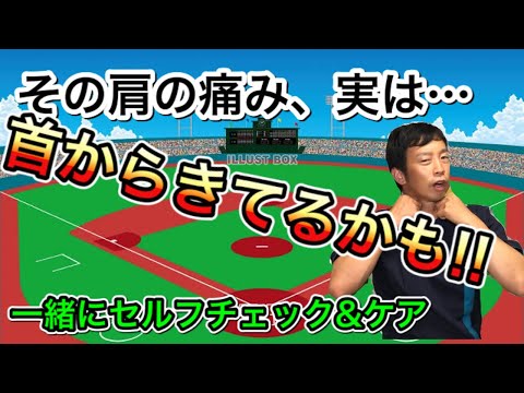 【野球肩・野球肘】その肩の痛み、実は原因は首にアリ！？セルフチェック＆ケアで痛みを撲滅しましょう!!