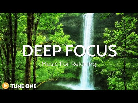 Bottoms View – Relaxing Guitar Music | Background Music To Improve Concentration