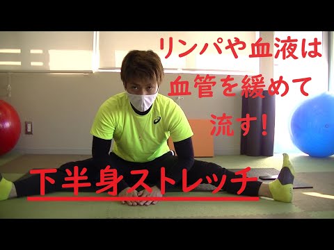 【血行改善】下半身ストレッチ