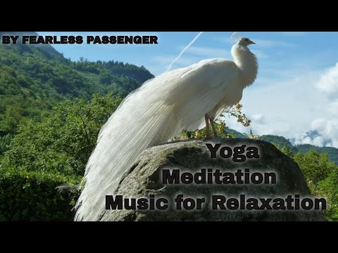 🔴Zen Spiritual yoga|| Massage Meditation || Deep focus, Sleep, Brain Power, Spa & Concentration 2022