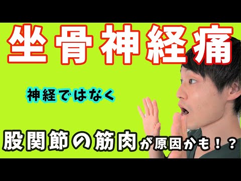 【セルフケア】その足の痛み「坐骨神経痛」ではなく小殿筋が原因かも？