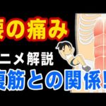 【腰の痛みと腹筋】インナーマッスルを鍛えて腰痛を改善しよう！