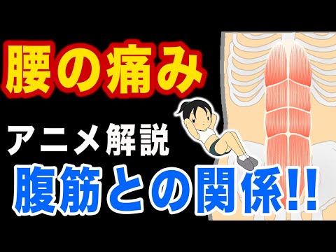 【腰の痛みと腹筋】インナーマッスルを鍛えて腰痛を改善しよう！