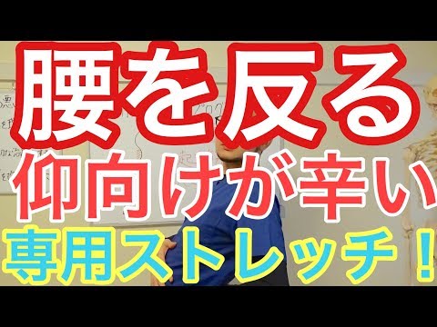 【腰痛反り腰】腰を反らすと痛い、仰向けが辛い専用ストレッチ！腰痛反り腰改善プログラム１