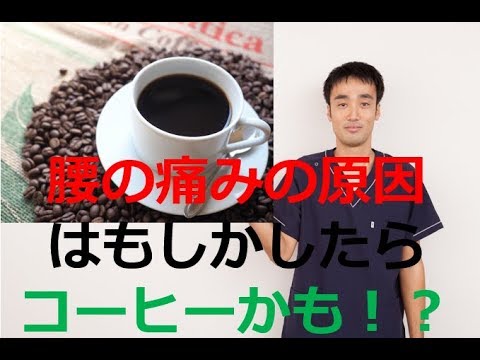 腰の痛みの原因はもしかしたらコーヒーかも！？｜兵庫県西宮ひこばえ整骨院・整体