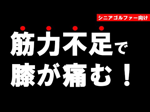 筋力不足が原因で膝が痛くなる？【シニアゴルファー向け】【トータルゴルフフィットネス】【膝痛】