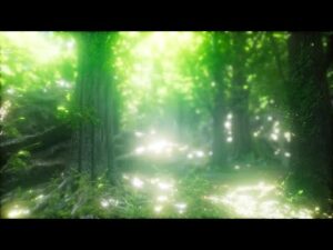 Relaxing Music with Nature Sounds, Forest Music, Meditation Music, Sleep Music