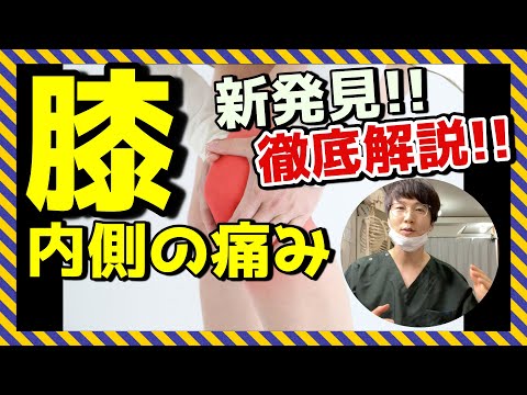 【原因不明のヒザ内側痛】膝の痛みは何が原因を起こしているのか？論文データを基に考察《東京ひざ痛専門整体院 京四郎-KYOSIRO-》