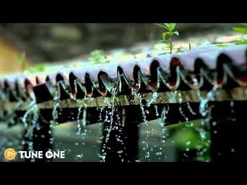 Relaxing Guitar Music & Rainny Morning • Rain Sounds [ Stress Relief Music, Meditation, Yoga ]