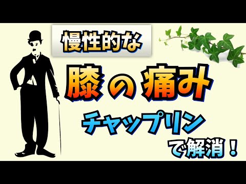【膝の痛み】関係している筋肉をまとめて鍛えよう！反り腰改善にも有効！