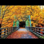 Beautiful Relaxing Music, Peaceful Soothing, "A Journey Through Autumn" by Tim Janis