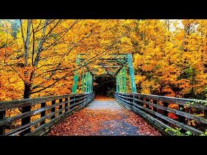 Beautiful Relaxing Music, Peaceful Soothing, "A Journey Through Autumn" by Tim Janis