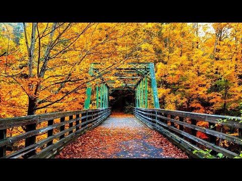 Beautiful Relaxing Music, Peaceful Soothing, "A Journey Through Autumn" by Tim Janis