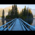 Beautiful Relaxing Music, Peaceful Soothing Instrumental Music, "Forest Island" by Tim Janis