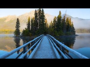 Beautiful Relaxing Music, Peaceful Soothing Instrumental Music, "Forest Island" by Tim Janis