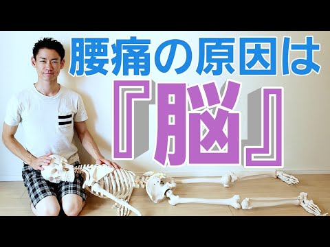 【腰の痛み】整体でも良くならない人は、コレを試して！