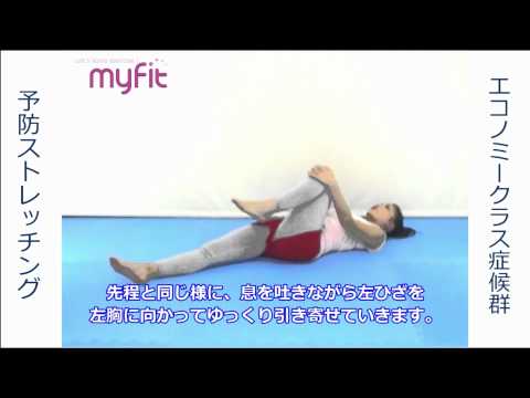 エコノミークラス症候群予防ストレッチング-下半身編-【Pray for Japan】