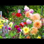 Peaceful Music, Relaxing Music, Instrumental Music,  "English Spring Garden" By Tim Janis