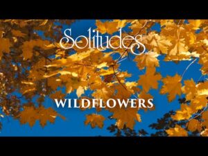 Dan Gibson’s Solitudes – Peace Beneath the Maples | Wildflowers