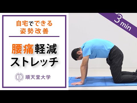 【腰痛軽減】2分間の腰伸ばしストレッチ(キャットアンドドッグ、姿勢改善)