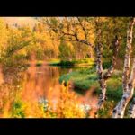 Beautiful Relaxing Music, Peaceful Instrumental Music, "Autumn Wilderness"  Tim Janis