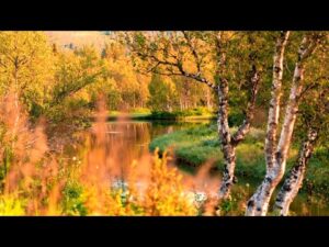 Beautiful Relaxing Music, Peaceful Instrumental Music, "Autumn Wilderness"  Tim Janis