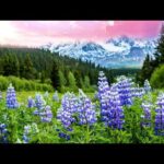 Beautiful Relaxing Hymns, Peaceful  Instrumental Music, "Mountain View Sunrise" by Tim Janis