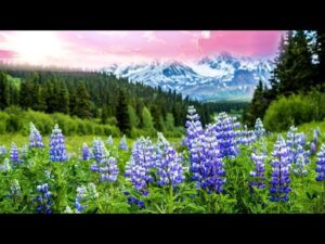 Beautiful Relaxing Hymns, Peaceful  Instrumental Music, "Mountain View Sunrise" by Tim Janis