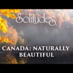 Dan Gibson’s Solitudes – Wonder in the Mist | Canada: Naturally Beautiful
