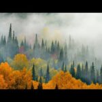 Beautiful Relaxing Music, Peaceful Soothing, "Autumn Pathways" by Tim Janis