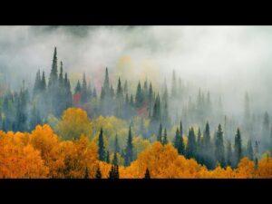 Beautiful Relaxing Music, Peaceful Soothing, "Autumn Pathways" by Tim Janis