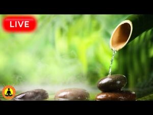 🔴 Zen Spa Music for Deep Relaxation 24/7, Relaxing Music for Massage, Zen, Calming Meditation Music