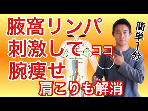 【リンパを流す 】肩コリ解消ダイエット　二の腕が細くなる