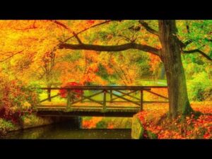 Fall's beautiful Autumn Light, Beautiful Relaxing Music, Peaceful Instrumental Music,  by Tim Janis