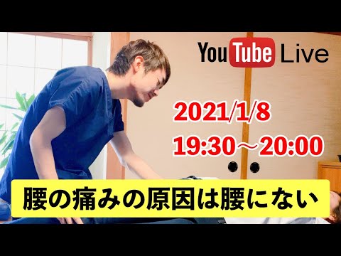 腰痛改善ストレッチライブ！！　腰の痛みの原因は腰にない理由